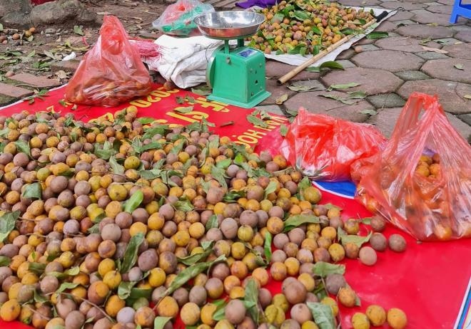 Đặc sản sấu chín Hà Nội cháy hàng, có bao nhiêu cũng bán hết